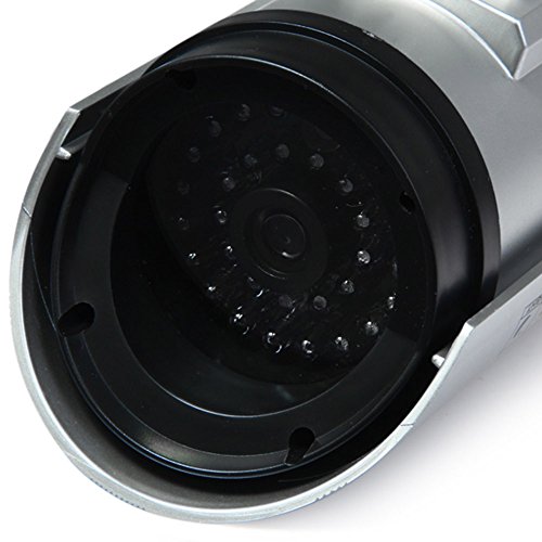 1 Videocamera Finta TVCC come deterrente, con LED
