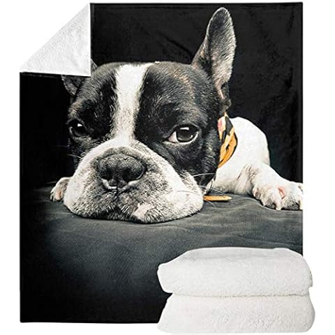 SEANATIVE French Bulldog 3D Printing Throw Blanket Super Soft Plush Couch Blanket TV Bed Fuzzy Blanket Comfy Warm Heavy Duty Flannel-3XL Cover