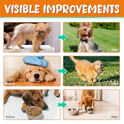 Kollagen Hund, Collagen for Dogs, Flüssiges Kollagen für Hunde, Fördert die Gelenkgesundheit und Beweglichkeit, lindert Hautallergien und Juckreiz,Unterstützt die Gesundheit von Gelenken,Haut und Fell