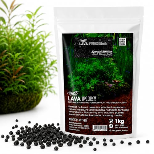 Image of VAYINATO Aquatic Remedies Wild Lava Pure Black (1Kg) | Special Edition Black Volcano Gravel for Planted Aquarium, Aquascaping & Garden Plants | Natural Porous Lava Substrate for Fish & Shrimp Tanks
