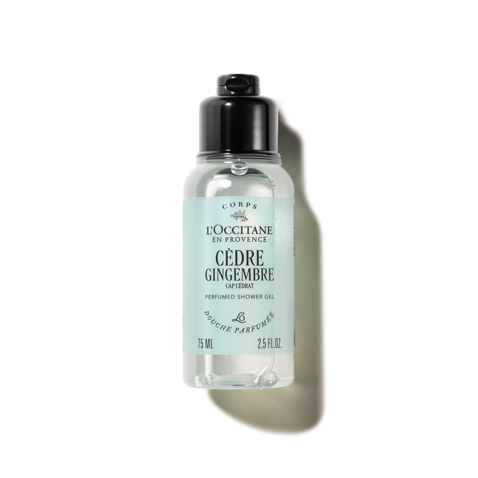 L'OCCITANE - Gel Douche Cèdre Gingembre (anciennement Cap Cédrat) - Notes aquatiques, mentholées et épicées - Fabriqué en France