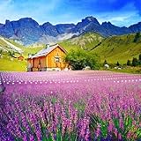 LOEVENICH Gorra Deportiva algodón con cordón de Ajuste - Ultraligera y Transpirable