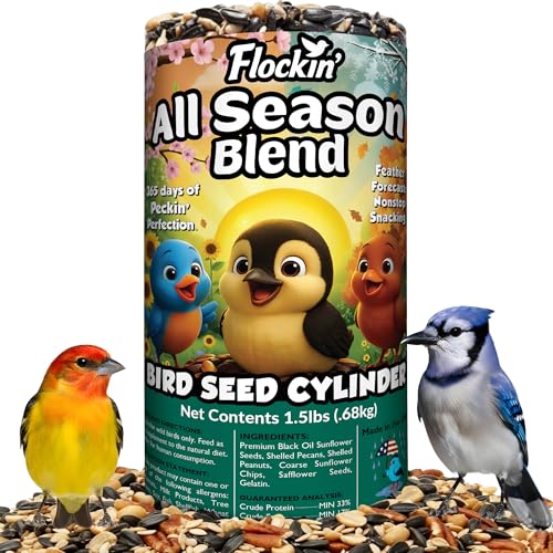 All Year Round Bird Seed Cylinders with Hole – All Season Wild Bird Food for Blue Jays, Cardinals, Doves, Finches & More – Balanced High Energy All Natural Blend, No Fillers – USA Made (4' x 7.75')