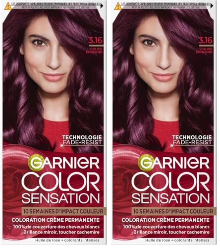 COLOR SENSATION 3.16 VIOLINE PROFOND (Lot de 2)