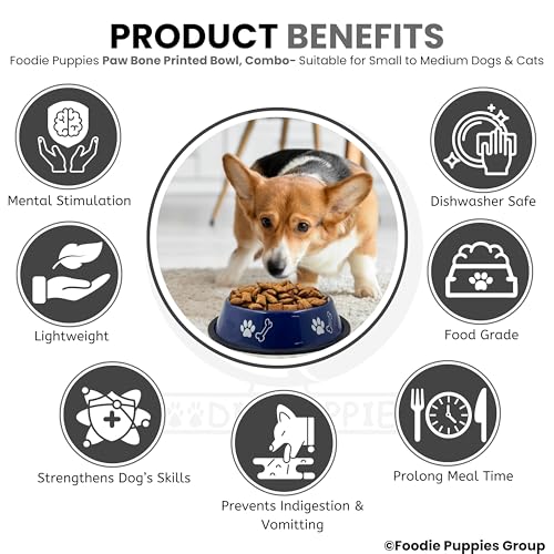 Image of Foodie Puppies Stainless Steel Dog Bowl Combo - (Medium, 700ml) Food and Water Feeding Gift Bowl | Suitable for Dogs, Cats and Other Pets I Paw Bone Print, Anti-Skid Rubber Base (Black + Blue)