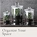 Whole Housewares - Set of 3 Bathroom Canisters - Storage Container Jars - Premium Glass Apothecary Jars with Lids - Small Glass Jar for Kitchen or Bathroom Storage - Decorative Crystal Containers