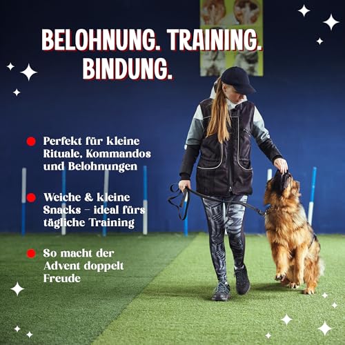 Für Ihren Hund Nur Das Beste - 8 Echte Fleischleckereien im Adventskalender – Glutenfrei & Weizenfrei – Nur Dieses Jahr Erhältlich, Lamm, Huhn, Lachs, Fisch, Kodipets