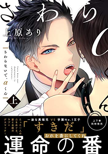 『さわらないで、αくん』