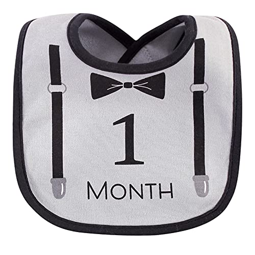 Image of Hudson Baby Monthly Milestone Interlock Bibs 13pk, Brand New, One Size