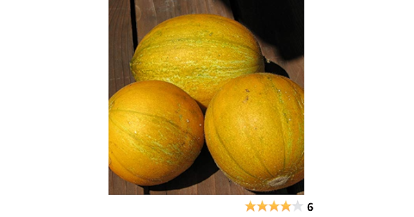 collective farm woman melon