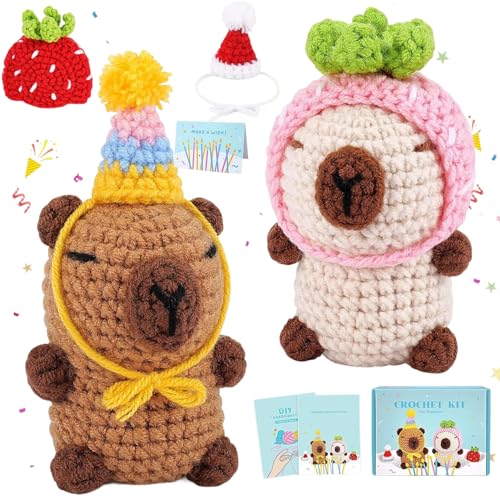 Kit de crochet pour débutants adultes Capybara avec vidéo