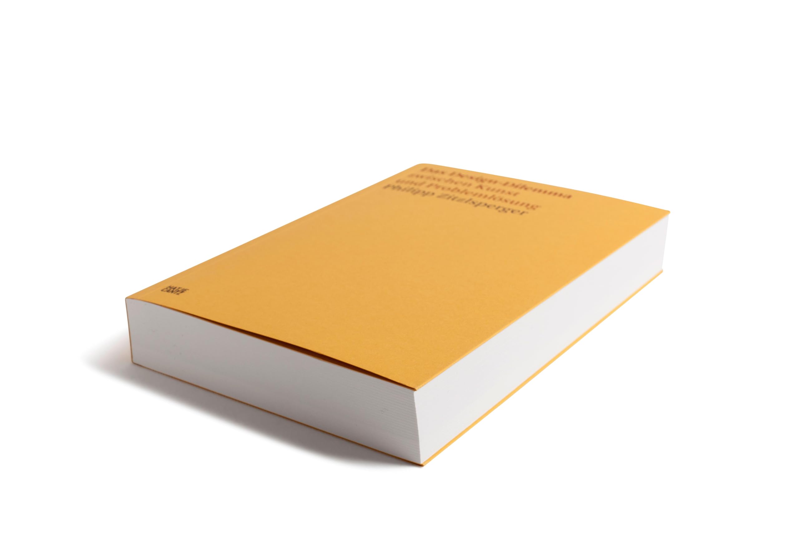 Das Design-Dilemma zwischen Kunst und Problemlösung (Hatje Cantz Text, Band 7)