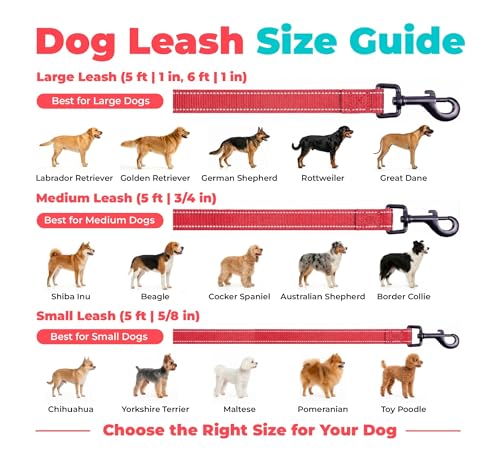 Image of Best Pet Supplies Voyager Reflective Dog Leash or Collar with Neoprene Handle, for Small, Medium, and Large Breed Puppies, Cute and Heavy Duty for Walking, Running and Training - Red (Leash), L