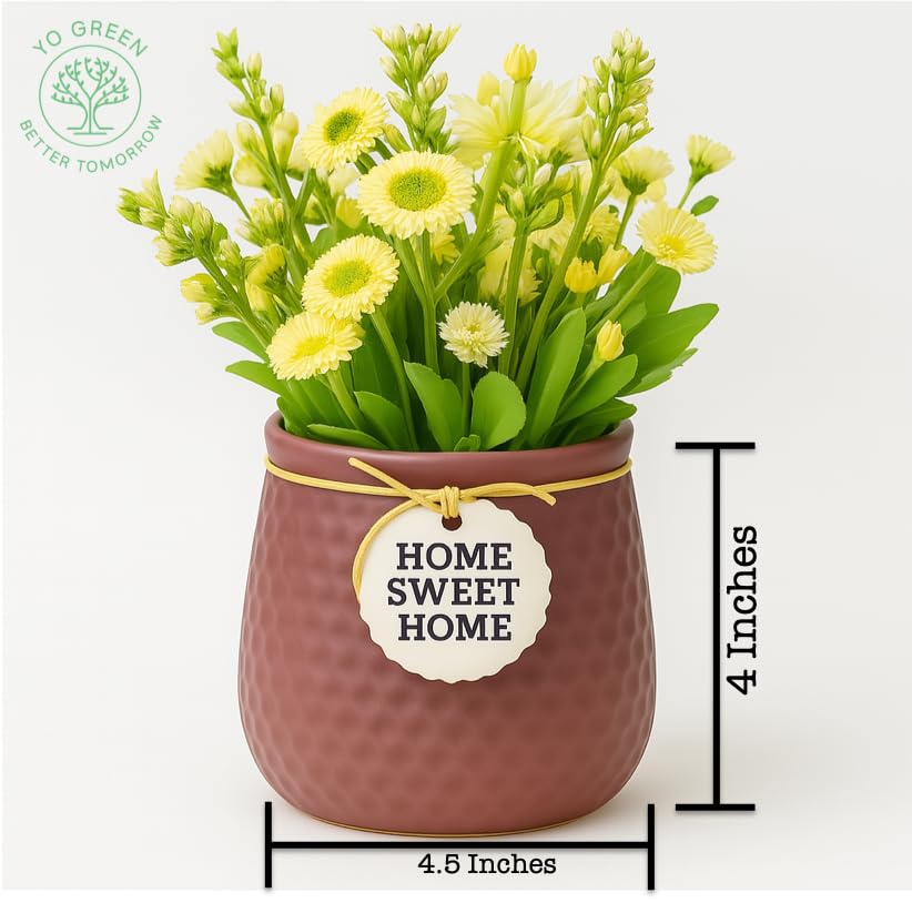 Image of Yo Green Ceramic Plant Pot for Indoor & Outdoor, Modern Planter for Home & Office Decor, Durable, Stylish Finish, Ideal for Tabletop, Shelf, Balcony, Great Gift Idea (Dark Mauve, 4 Inches)