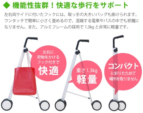 Amazon.co.jp: AI-WALK アイウォーク シルバー ロータイプ : ファッション