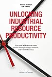  Unlocking Industrial Resource Productivity: 5 core beliefs to increase profits through energy, material, and water efficiency (English Edition)
