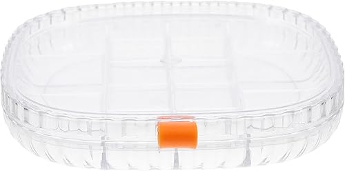 Zerodeko Joyero para aretes, caja organizadora de joyas transparente, 16 rejillas, contenedor de almacenamiento de plástico para cuentas, arte,