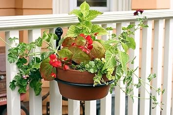 Pack Price Achla Wall Mounted Flower Pot Holders, 8 Dia, Case of 6