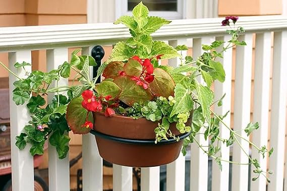 Pack Price Achla Wall Mounted Flower Pot Holders, 8 Dia, Case of 6
