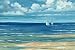 Portfolio Canvas Décor 'Summerset Sailboats' by Paul Brent 24x36x1.5, 1 Piece Canvas Wall Art