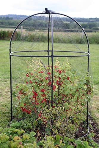 Haxnicks Steel Round Fruit Cage Frame | Bird Netting Plant Protection For Fruit Bushes | Gooseberry...