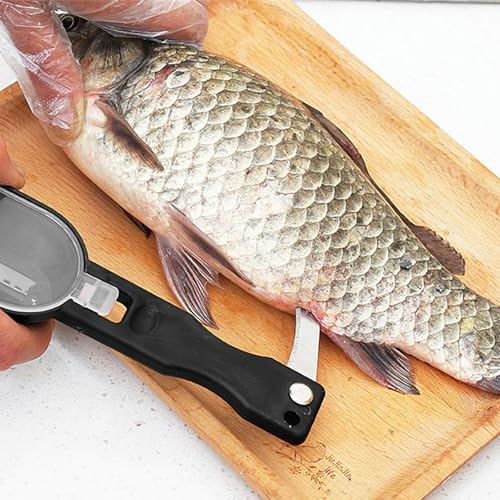 Fish Descaler Tool-2 in 1 Fish Scaler Remover with Knife Fish Scaler Fillet Knife Fish Cleaning Tool with Scaler Container (Black) - Image 4
