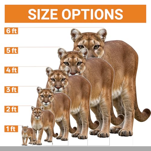 Image of Cougar 5FT Life Size Cardboard Cutout Fun Animal Standup, 1 PC | Fun Animal Standup Cougar, for Party Decor, Events, Birthday Celebrations, Photo Backdrops, and Holiday Parties