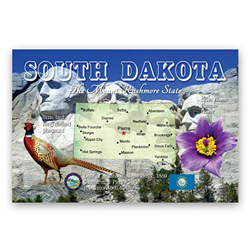 SOUTH DAKOTA MAP postcard set of 20 identical postcards. SD