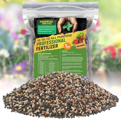 10-10-10 �N�C�b�N�����[�X �v���~�A���엿 - ���ړI�A�����H�i ���� ���O �K�[�f�j���O ��� �� �Ő� �� ��� 1�N�H�[�g