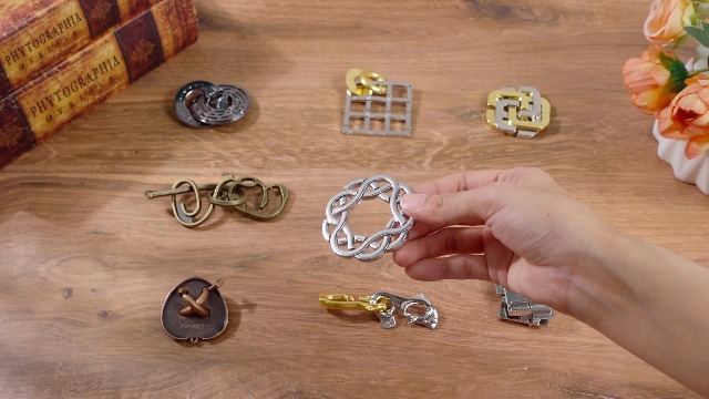 Amazon.com: Yilloog 48 Pcs Metal Brain Teaser Puzzles Set for