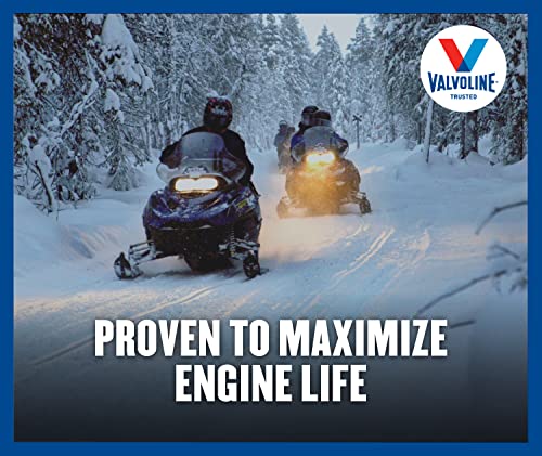Valvoline 899367-CS 4-Stroke Powersport Full Synthetic Motor Oil 1 Qt, Case Of 6 thumb #9