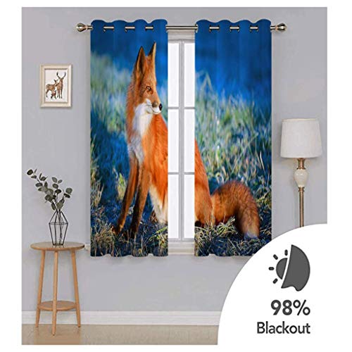 Rideaux et draperies intérieurs opaques bleu et renard isolant thermique - 4