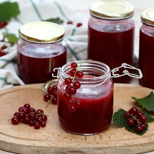 NUOBESTY 6 adet tel kilit, paslanmaz çelik, büyük kavanozlar ve kavanozlar için, hava geçirmez kilit klipsleri, saklama kabı ve mutfak saklama için - Görsel 4