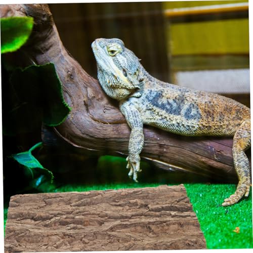 Panneau écorce de liège naturelle aquarium terrarium x2