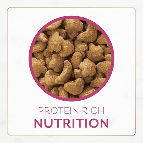 Fancy Feast Purina Dry Cat Food Filet Mignon Flavor (4) 16oz Bags | Filet Mignon flavor made with real seafood and shrimp for a savory taste cats love. - image 9