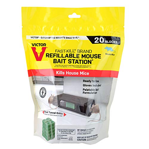 Top 10 Best Product To Kill Mice Reviews & Buying Guide Katynel