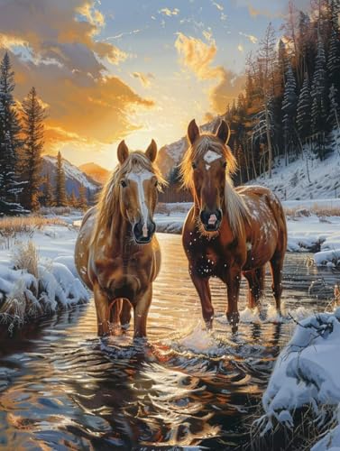 n yCgoCio[  DIY G ANG̋ ZbgƃuVt G lp S G hG  A[gNtg z[fR[V av[g 90x120cm 4-3961