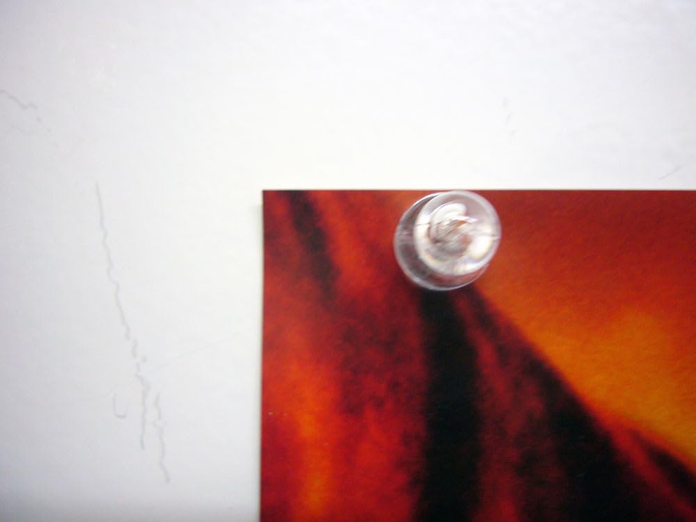 Amazon.co.jp: トム クルーズ ミッション インポッシブル2 B2サイズ