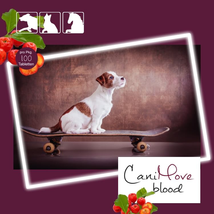 CaniMove Dreierpack | Blood (3 x 100) - Zur Unterstützung der Blutbildung und Eisen-Versorgung von Hunden und Katzen | Mit Eisen, Kupfer, Vitamin A, Vitamin C, Folsäure, B12