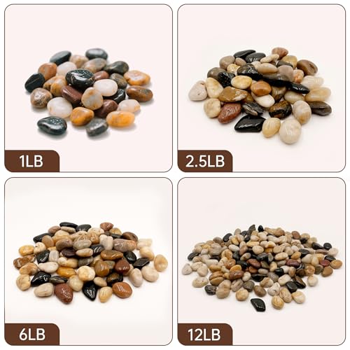 Image of RITOLLO River Rocks Pebbles for Indoor Plants 3 /8-1 Inch Natural Aquarium Gravel Decorative Fish Tank Rocks Garden Landscaping Decor