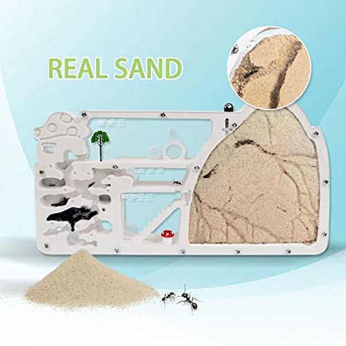 ELNMLHT Ant Farm Castle, Ant Farms with Yellow Sand and Tool Kit, Ant Colony Observation Kit, Ant Viewing Habitat Science Kit, Educational & Learning Science Kit for Kids, Adults, Student - Image 3