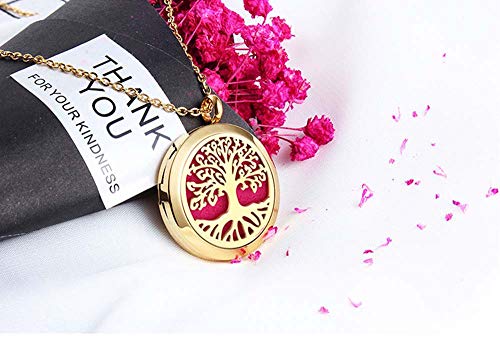 Aromatherapy Essential Oil Diffuser Necklace 316L Stainless Steel Locket Pendant with 24 Inch Chain - Image 4