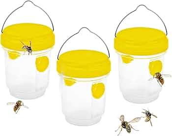 51VXvodmc8L._AC_UF350,