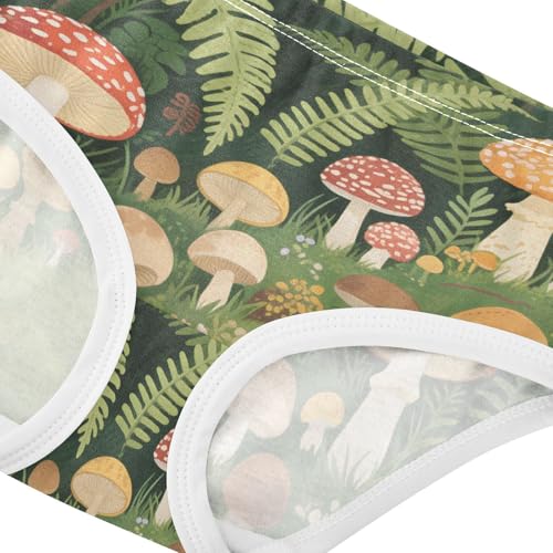 GuoChe Cotton Panties Panties Training Organic Cotton Toddler Underwear for Toddler in Sizes 2T,3T, 4T, 5T, 6Y and 8Y4