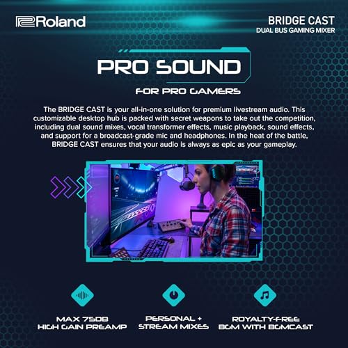 Roland video mixer system