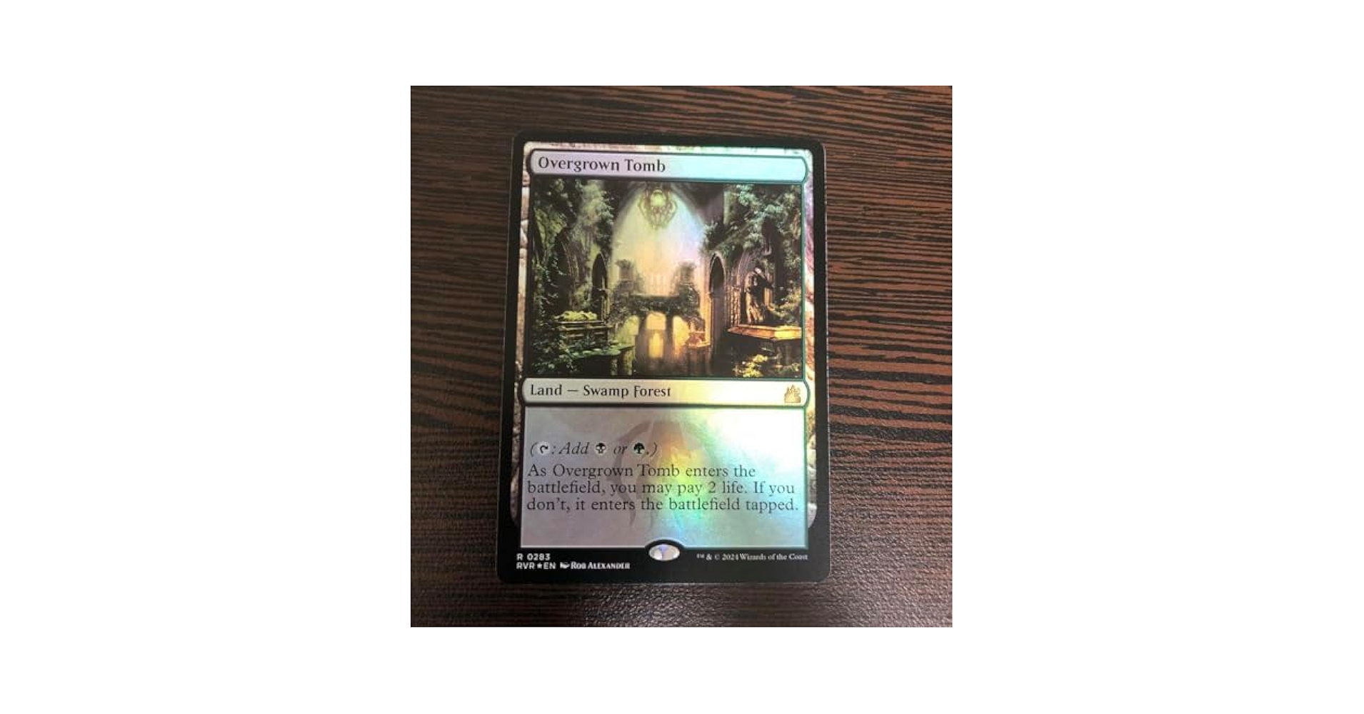 Amazon.co.jp: MTG 草むした墓 英語 foil ショックランド : おもちゃ