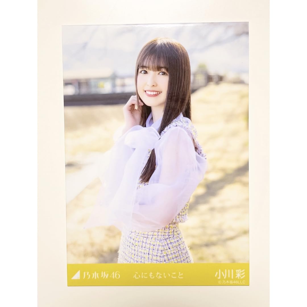 乃木坂46 5期生 一ノ瀬美空 小川彩 写真集 直筆サイン入りパネル 乃木坂46 5期生 一ノ瀬美空 小川彩 写真集 直筆サイン入りパネル
