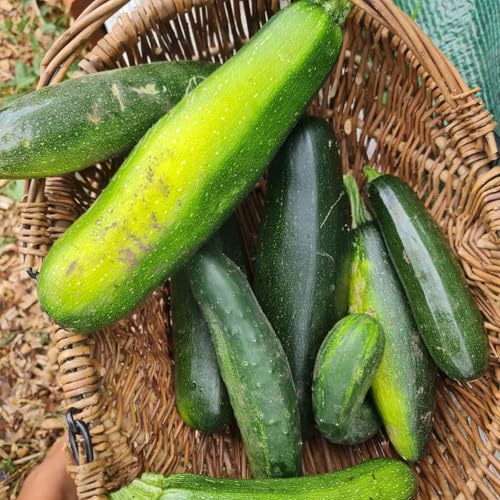 EP.68 | Harvests, Hosepipe Bans & Honest Moments.