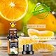 Aeshory 14 x 5ml Fruchtig Ätherische Öle Set für Diffuser, Naturrein Aromatherapie Duftöl Aroma Öl Geschenkset für Seife, Kerzen, Kosmetik, Luftbefeuchter, SPA - Erdbeere, Apfel, Kirsche, Mango