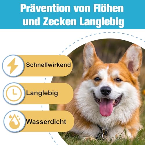 Advanllent Zeckenschutz für Hunde 6 Pipetten, Spot On Hund, Zeckenmittel für kleine Hunde 2 bis 10 kg, Hunde flohmittel entwurmungsmittel für Hunde, gegen Flöhe & Zecken